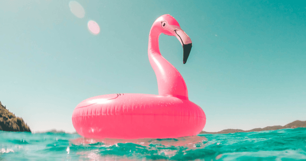 Flamingo floaty