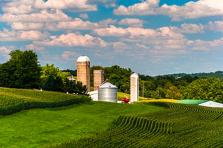 Corn fields and silos on a farm in Southern York County, Pennsylvania.