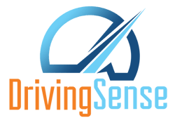 DrivingSense-1