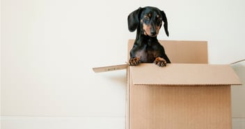 Moving In: How to Tackle the Post-Closing Process