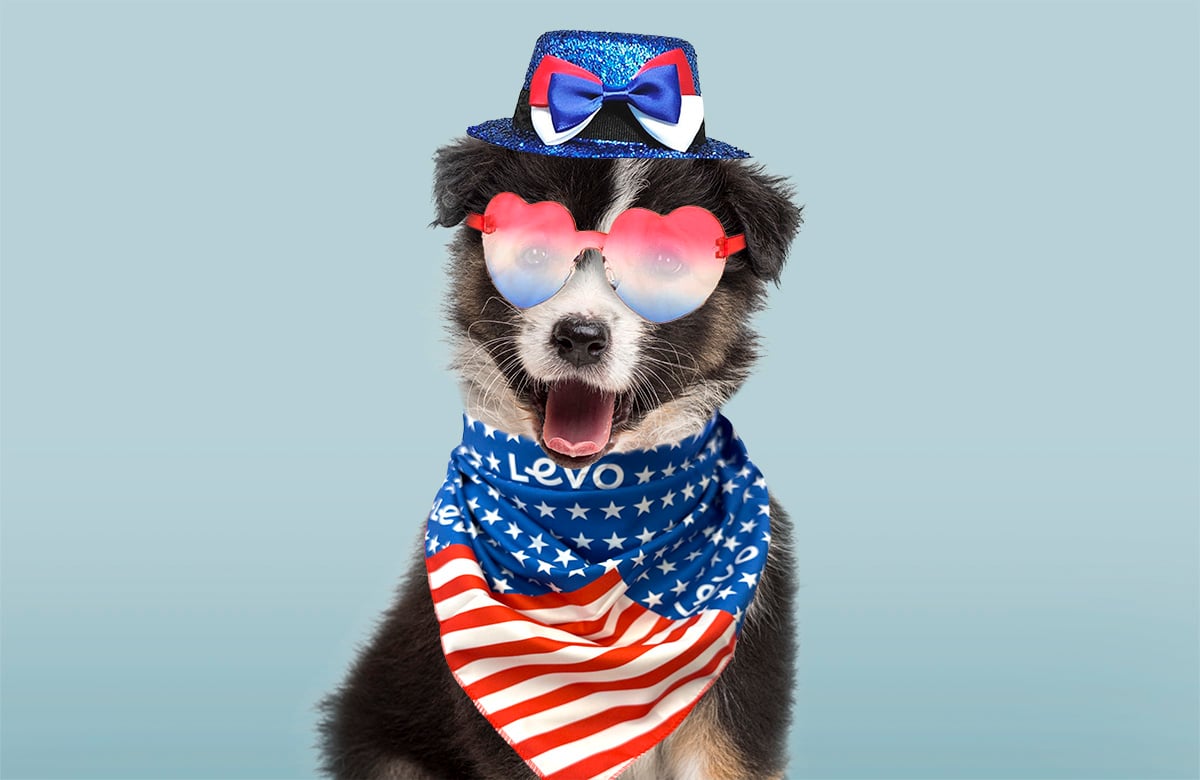 PatrioticPet