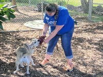 SFHumaneDogCropped